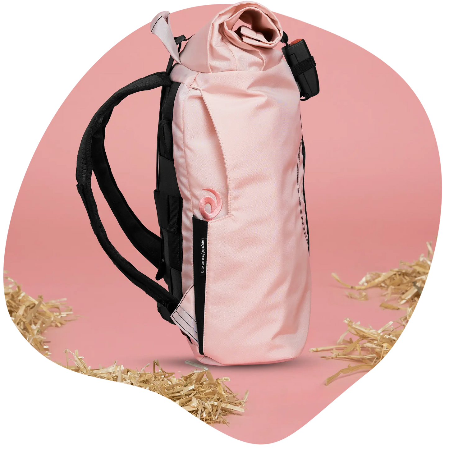 Schweine-Rolltop