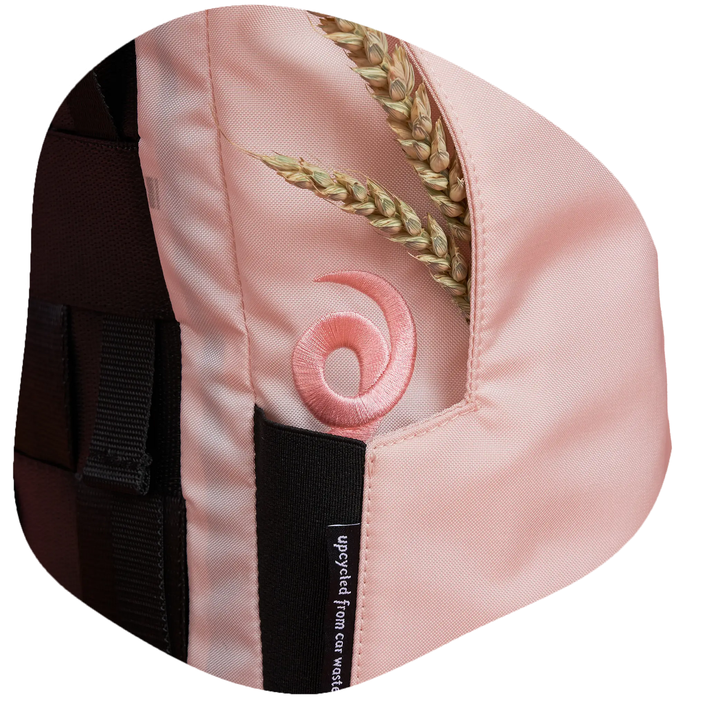 Schweine-Rolltop