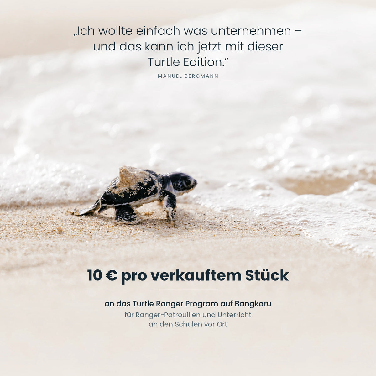 Turtle Rolltop
