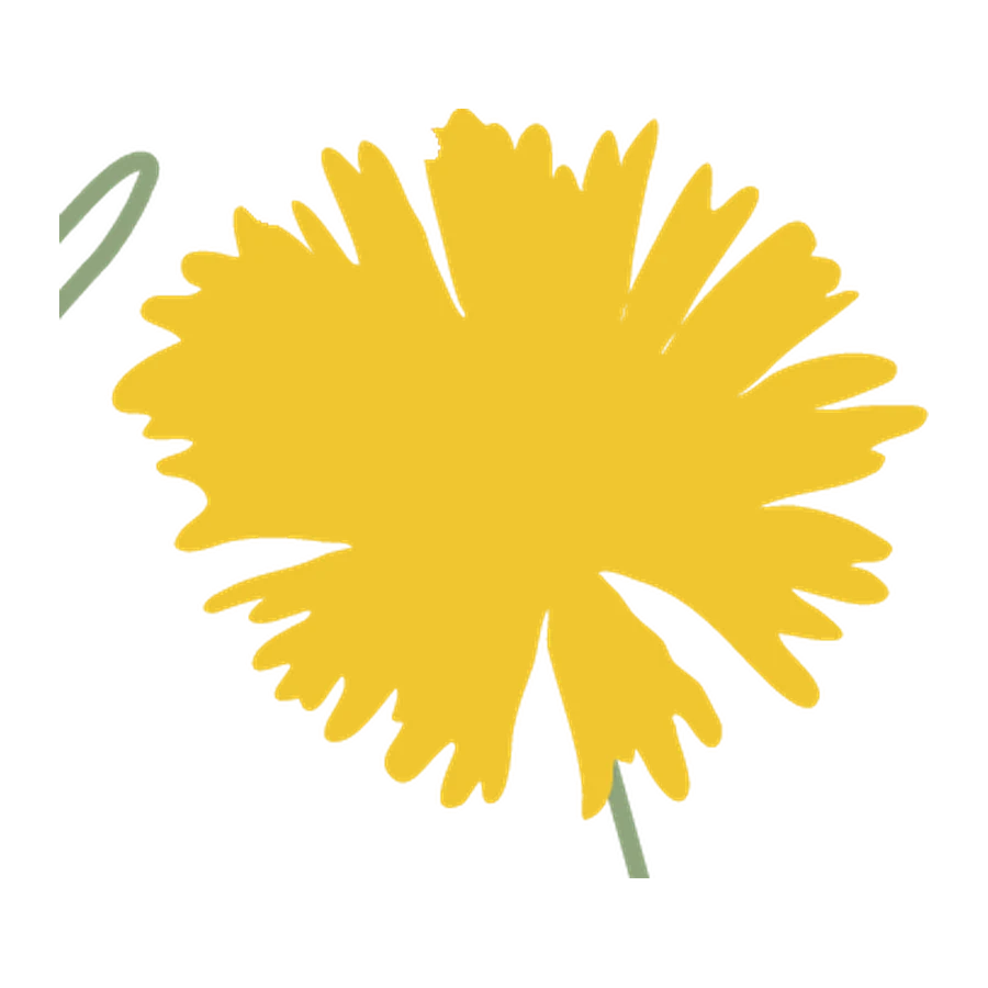 Gewöhnlicher Löwenzahn, Stickmotiv der Robinga-Edition